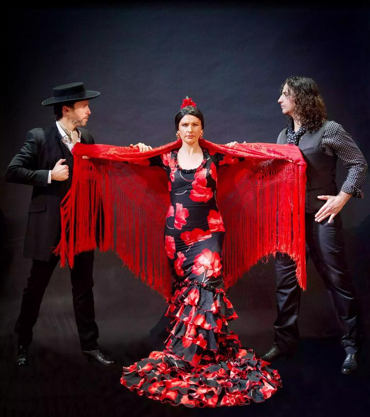 Arte Flamenco
