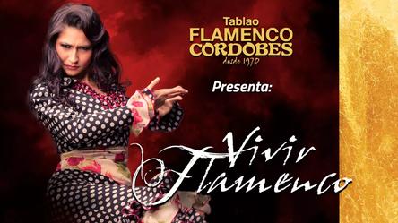 Vivir Flamenco