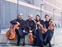 COSMOS QUARTET (c)Michal Novak-Seed
