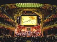 ORQUESTRA SIMFÒNICA DEL VALLÈS - El trencanous (c)Lorenzo Duaso