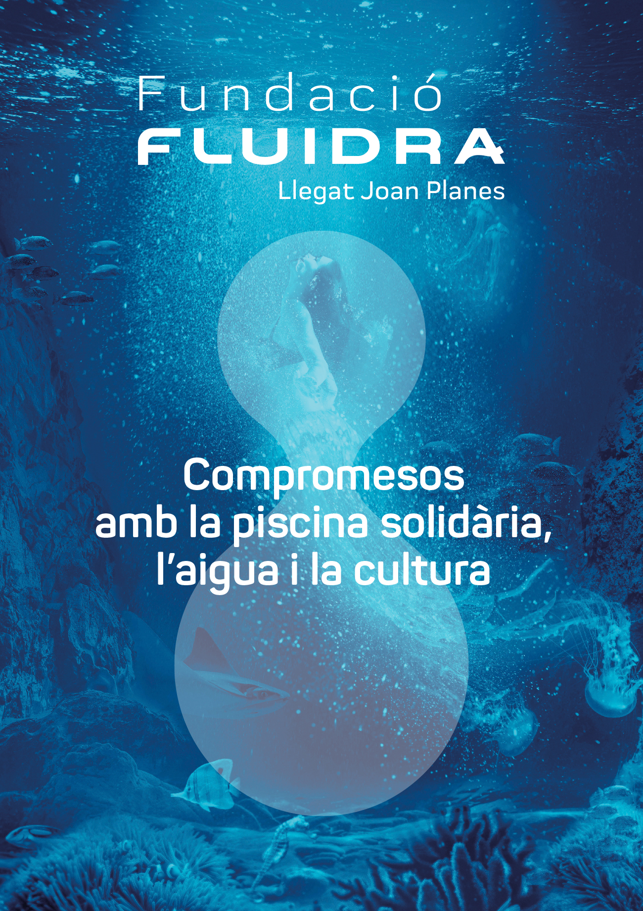 Anunci Fluidra (Nadal 22 - desktop)