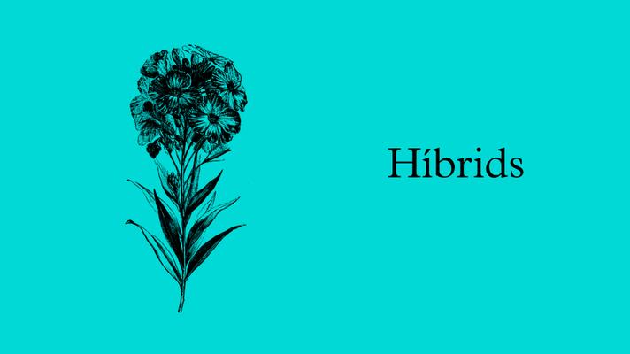 LHivernacle 2022-23 web hibrids