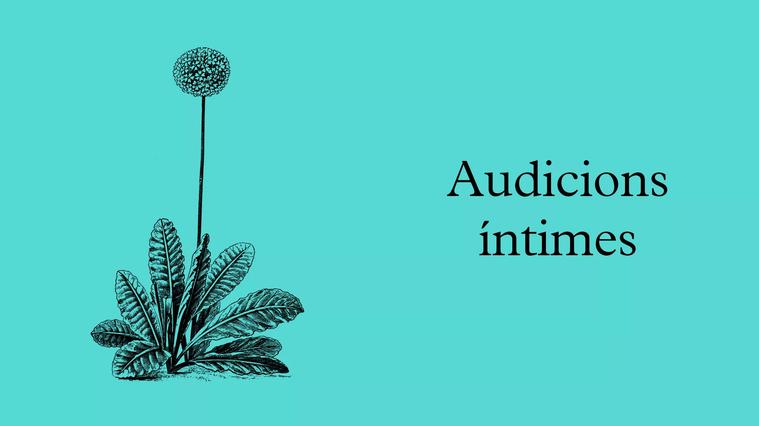 LHivernacle 2022-23 web audicions intimes