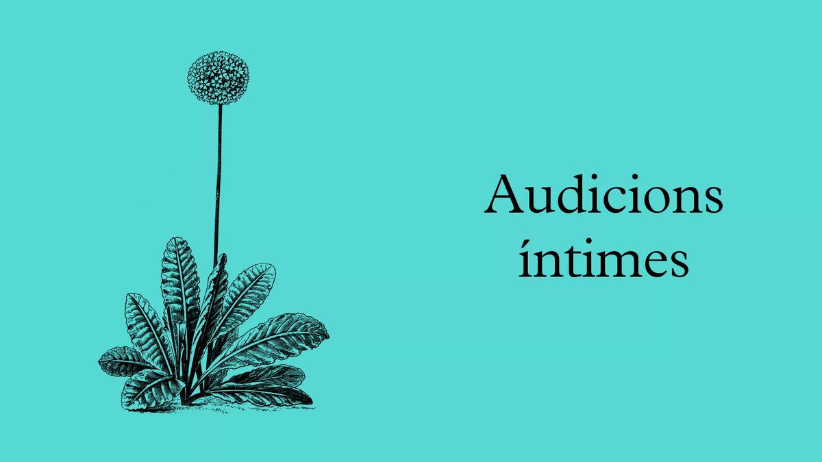 LHivernacle 2022-23 web audicions intimes