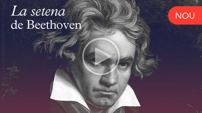 Perspectives - Setena de Beethoven thumbnail 552