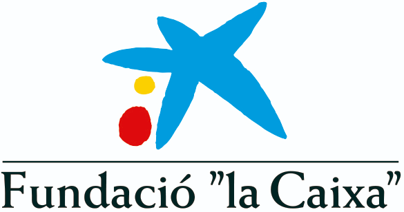 logotip fundacio la caixa 2 (retallat)