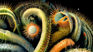 recurso entangled others