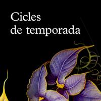 banner web abonaments carta cicles