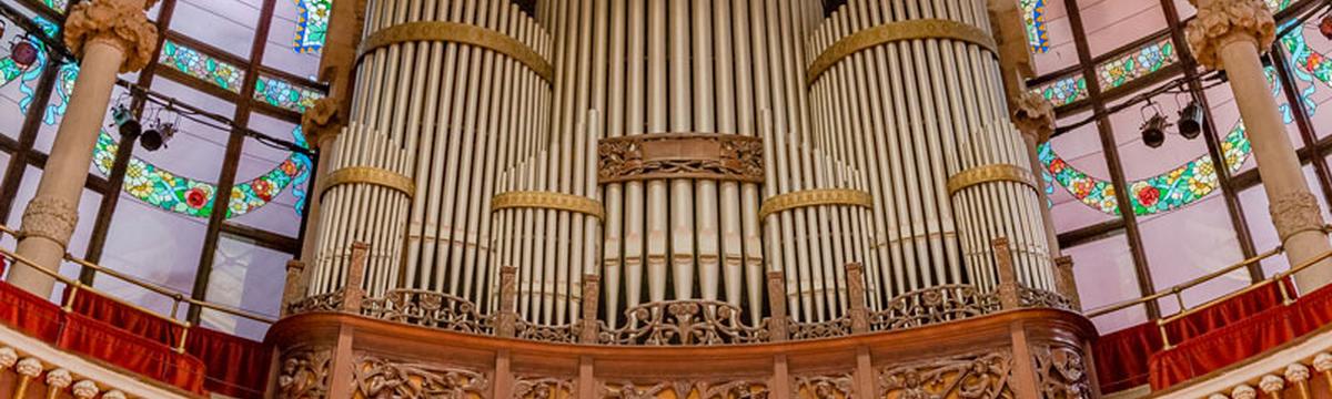 Visita Live Organ