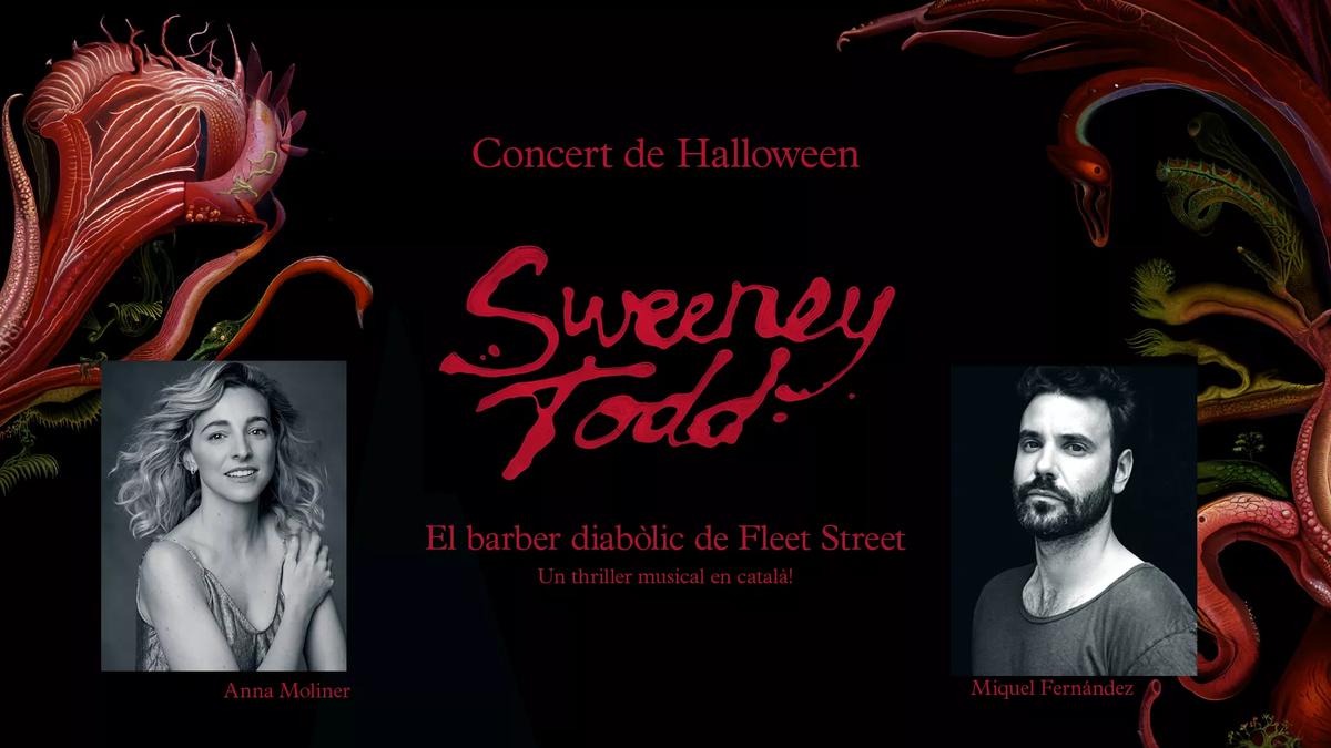 20231031 web sweeney