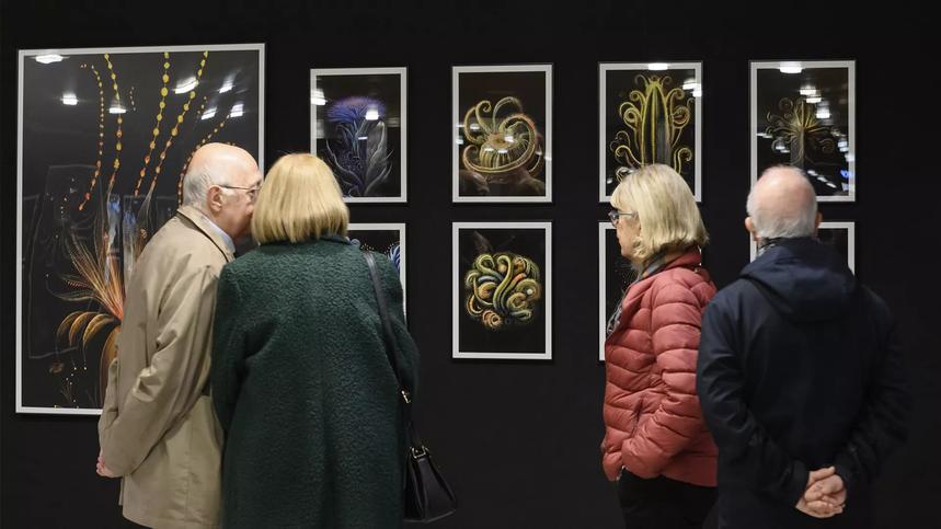 Exposició | Imatge gràfica de la Temporada 2023-24 del Palau de la Música Catalana - Fotografia