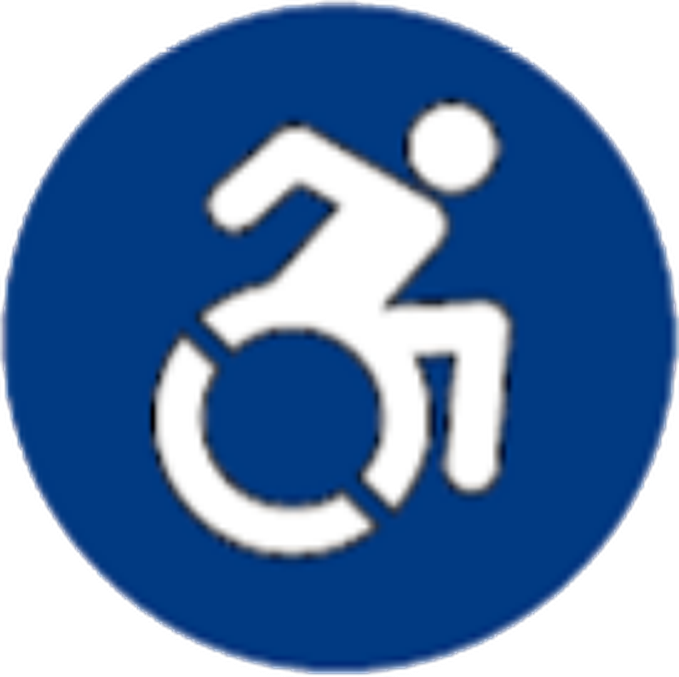 Icona accessibilitat - Mobilitat reduïda