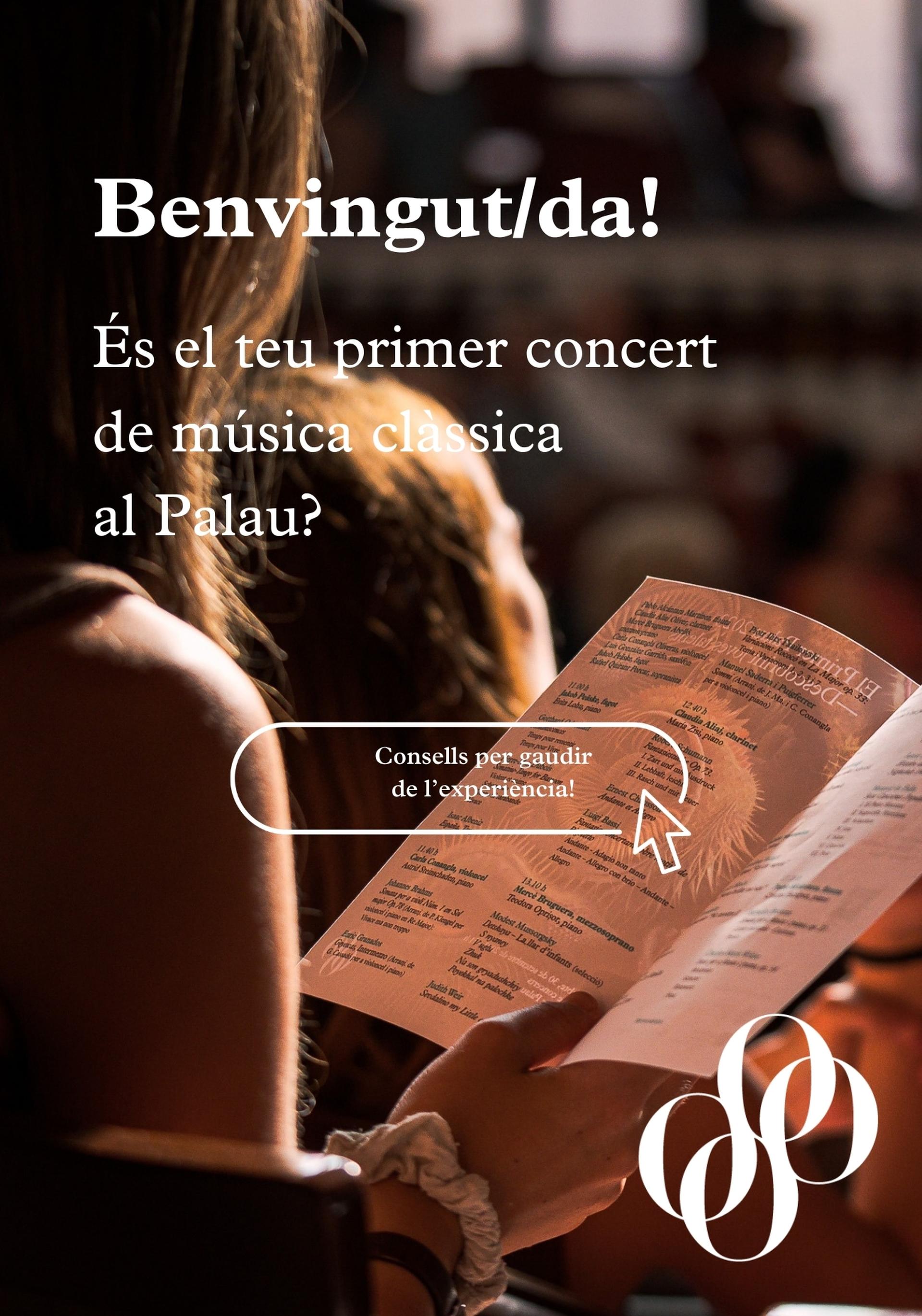 Anunci primera vegada al Palau - desktop