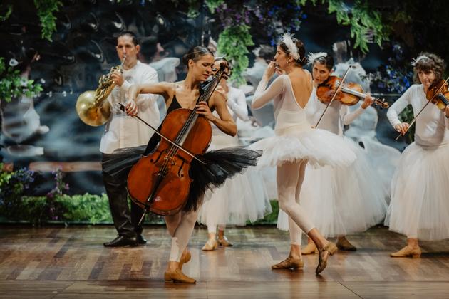 Let's fly with Tchaikovsky