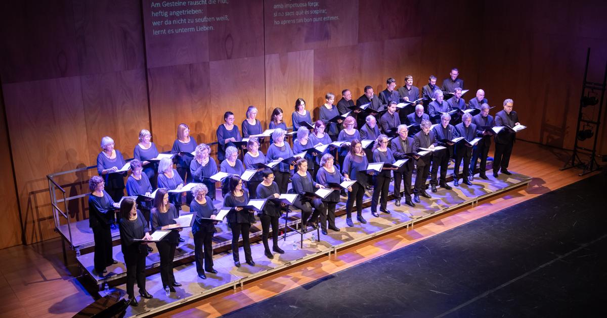Xarxa Coral