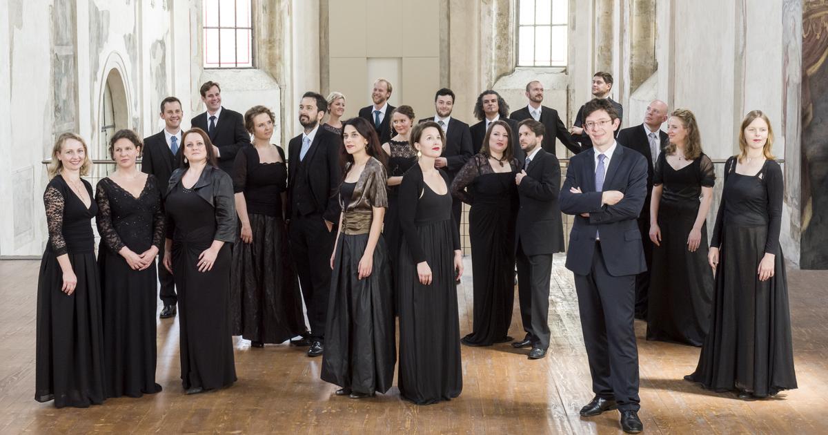 Collegium 1704 & Luks