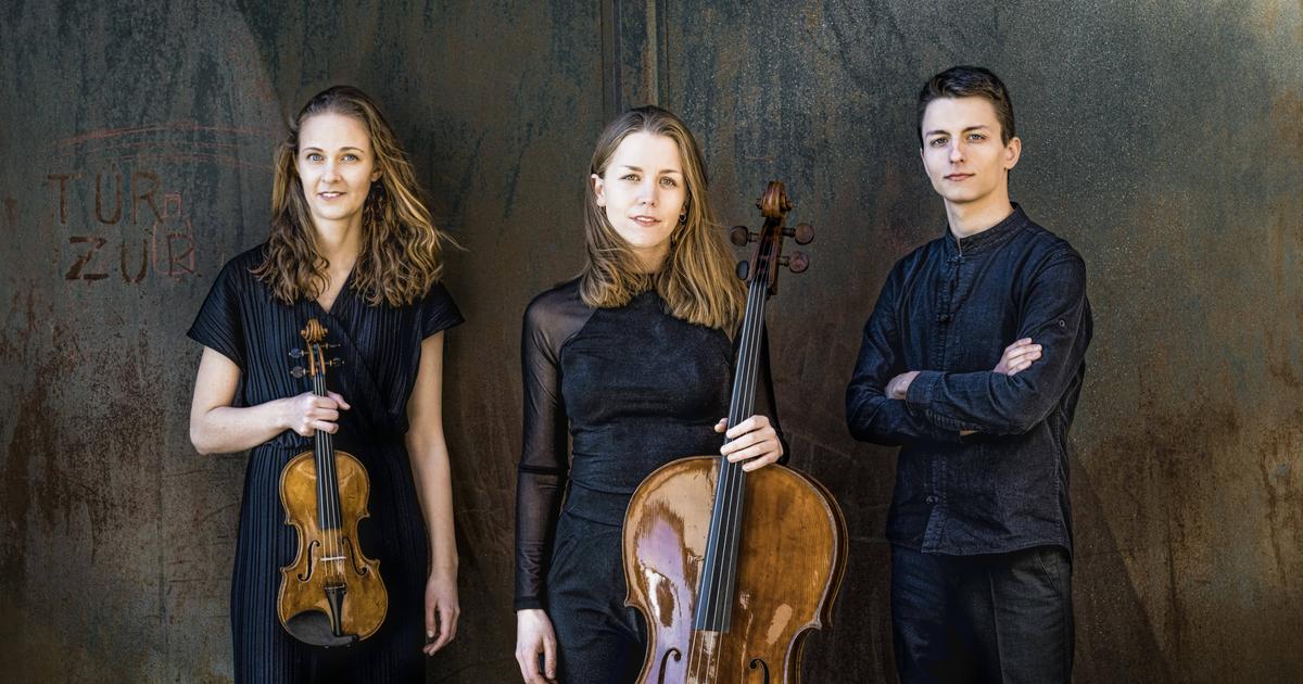 Amelio Trio