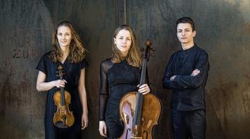 Amelio Trio