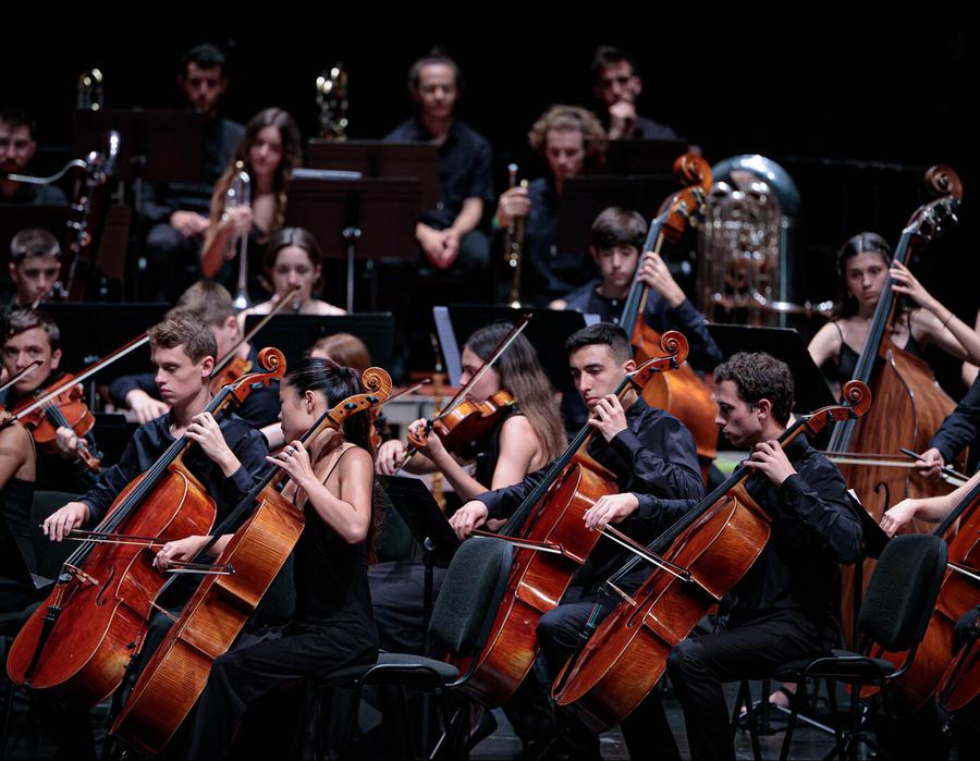 Jove Orquestra Simfònica del Vallès