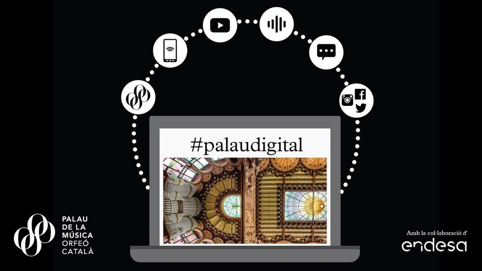 Infografia Palau Digital