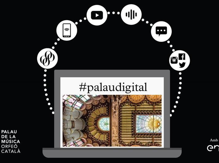 Infografia Palau Digital