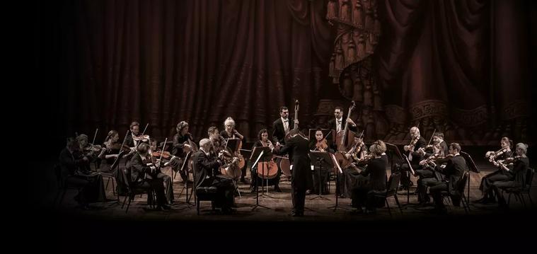 Orquestra de Cambra de Viena