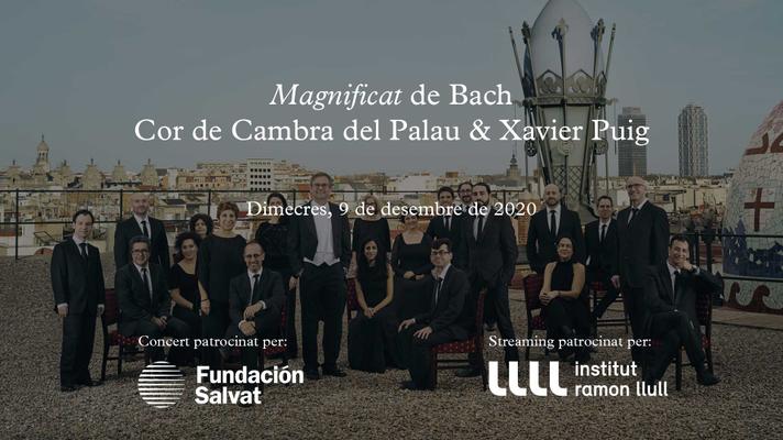 Careta streaming Magnificat