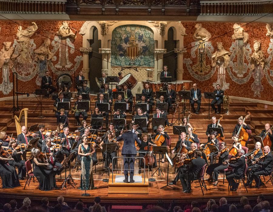 Orquestra Simfònica del Vallès (Any Nou)