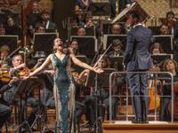 Festival of waltzes and dances