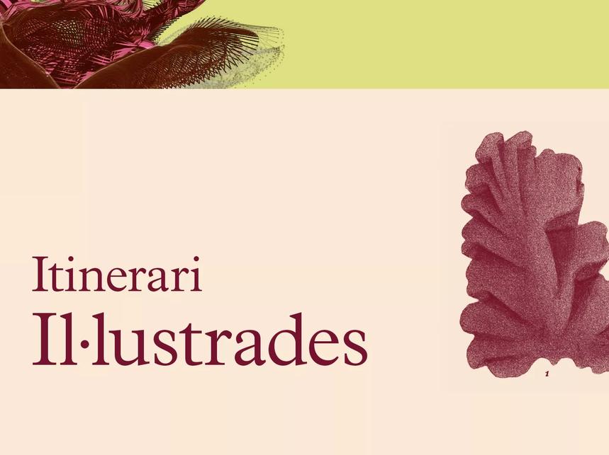 I·lustrades 2021-22
