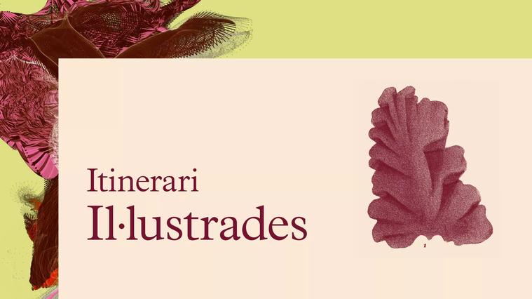 I·lustrades 2021-22