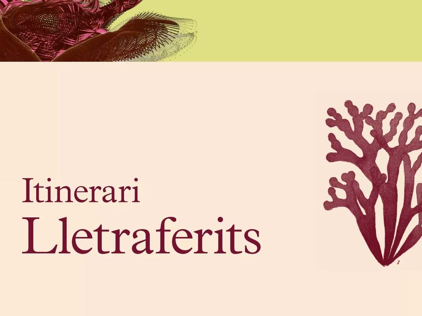 Lletraferits 2021-22