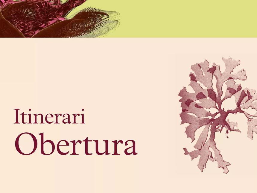 Obertura 2021-22
