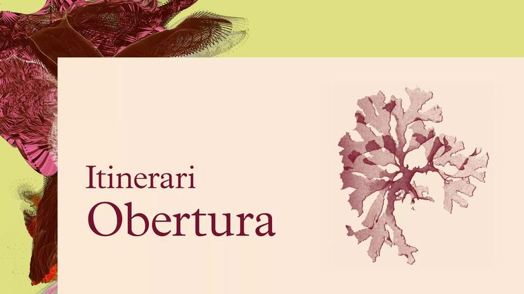 Obertura 2021-22