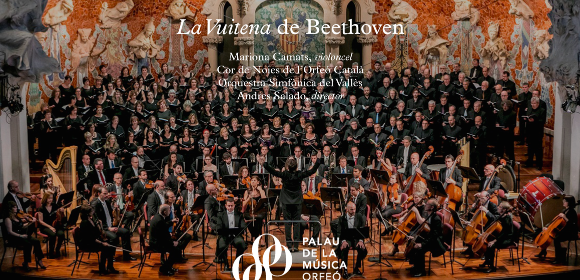 Careta streaming La vuitena de Beethoven