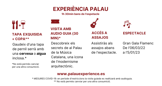 baner CAT Palau Experience WEB