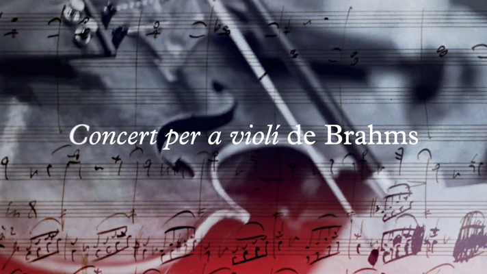 Concert per a violi de Brahms_Javier Perez Senz
