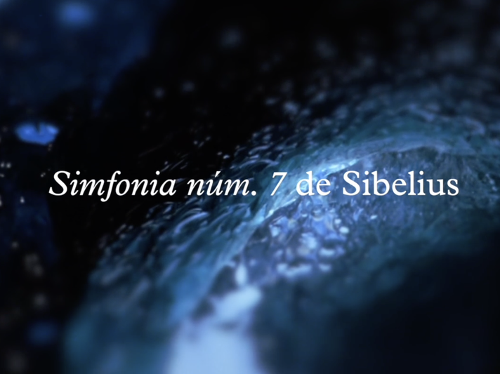 Perspectives Musicals_Sibelius
